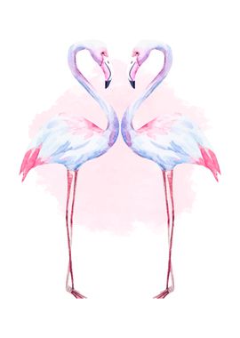 Flamingos