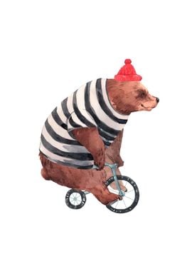 Bear on bicycle