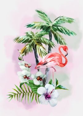 Flamingo