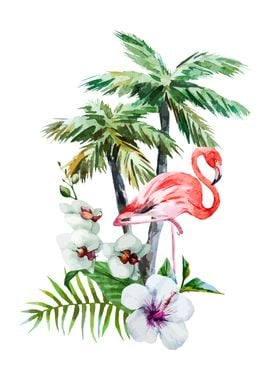 Flamingo