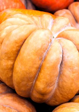 Pumpkins In Pile