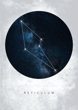 Reticulum