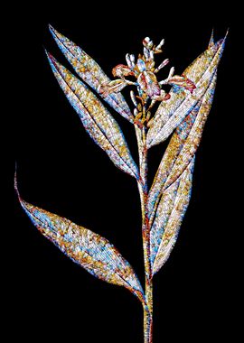 Prismatic Mosaic Botanical