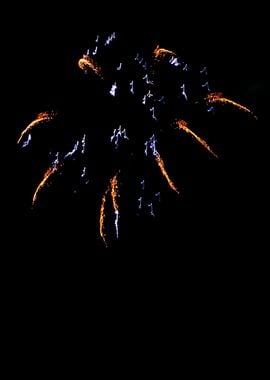 Firework