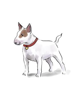 Bull Terrier