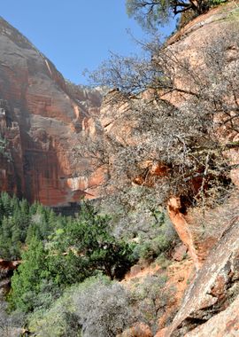 zion canyon nationalpark