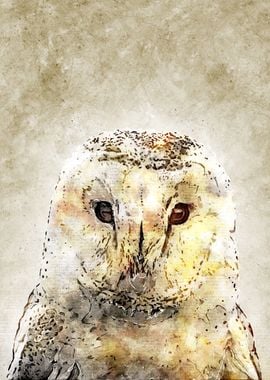 Owl Vintage Watercolor 