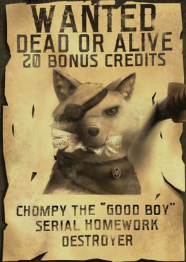 Chompy the good boy