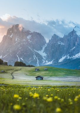 Alpe di Siusi