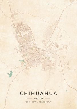 Chihuahua Mexico