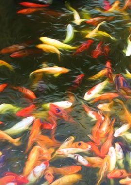 Koi Frenzy