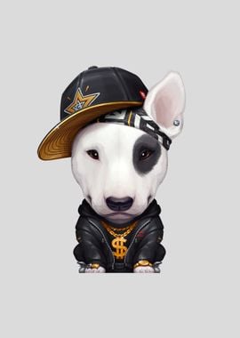 Bull Terrier Hip Hop Star