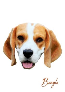 Beagle dog color portrait