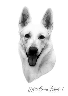 White Swiss Shepherd dog