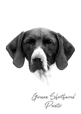 German Pointer dog