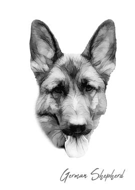 Cute German Shepherd dog