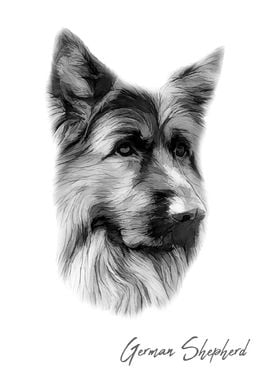 Nice German Shepherd dog