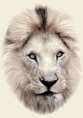 Beautiful Lion