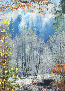 Landscape With The Frozen 