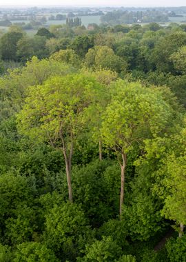 Aerial Landscape