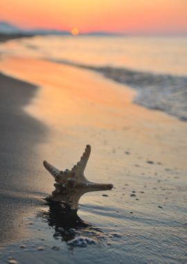 Summer Beach Sunset With S