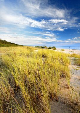 Baltic Beach At The Sunset