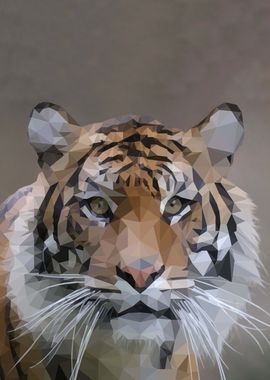 Tiger Portrait