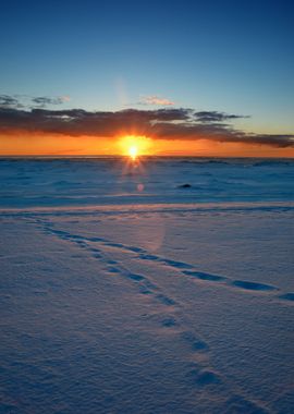 Colorful Sunset At The Sno