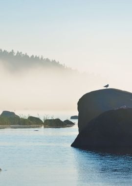 Rocks At The Coast Of Kasm