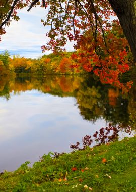 New England Foliage