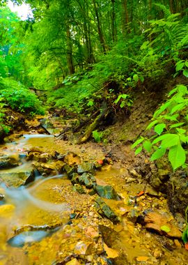 Small River Scene Among Ro