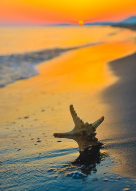 Summer Beach Sunset With S