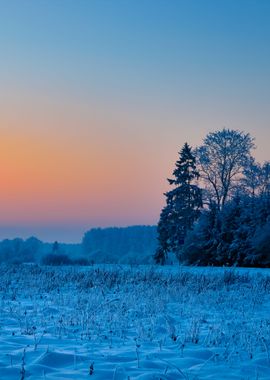 Winter Countryside View