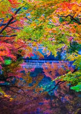 Autumn Landscape Japan Map