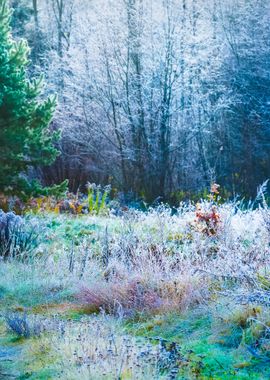 Landscape With The Frozen 