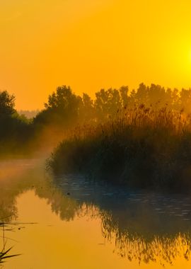 Sun And Morning Fog Above