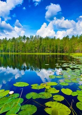 Saimaa Lake In Finland