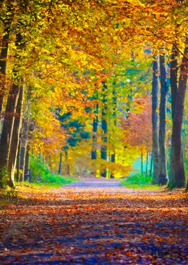 Autumn Forest Nachtegalenp