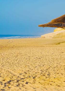 Beach Scene With Coconuts