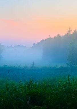 Morning Fog Above The Fiel