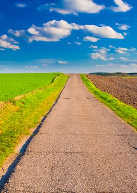 Asphalt Road In Landscape