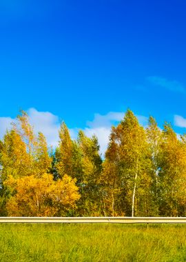 Autumn Landscape