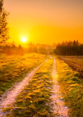 Sandy Rural Road In Landsc