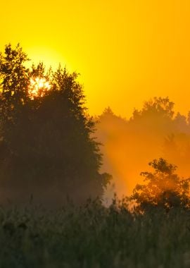 Sun And Morning Fog Above