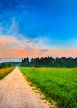 Sunrise At The Field With