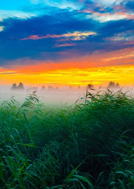 Colorful Sunrise At The Fi