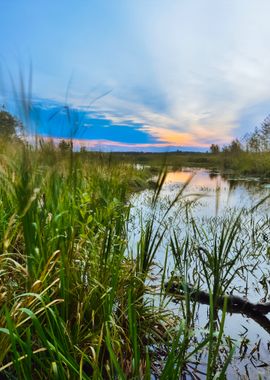 River Landscape