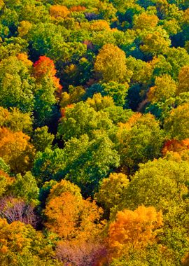 New England Fall Foliage