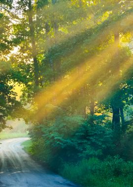 Road And Sunbeams In Stron