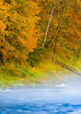 Autumn Gauja River In Sigu